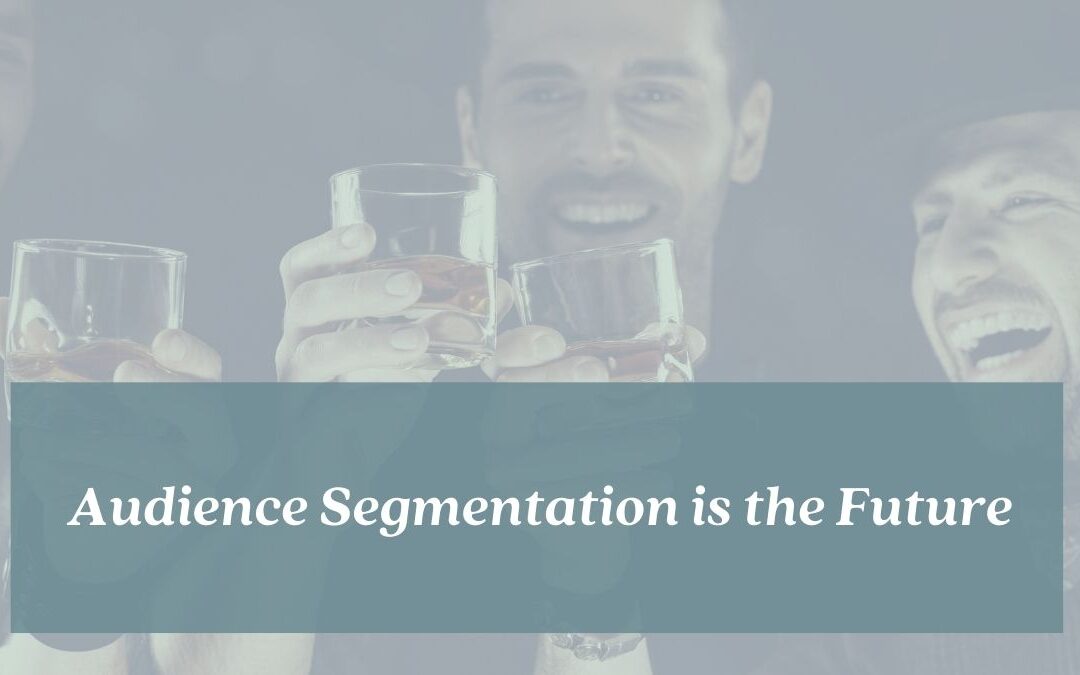 Audience segmentation is the future